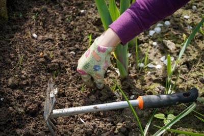 Weeding and Soil Cultivation